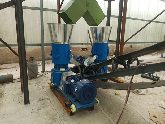 Pelletizzatore per letame di pollame 380V regolabile a stampo piatto per la produzione di pellet di feci di pollo