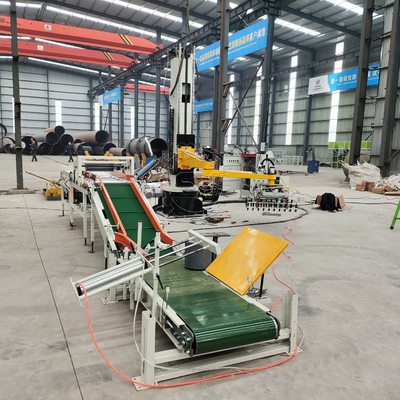 Robot automatico competitivo per l'accumulo di pallet per la tecnologia di palletizzazione dei fertilizzanti