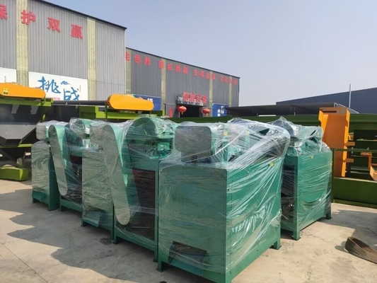 3000 kg/h di produzione Macchina per la produzione di fertilizzanti organici a doppio rullo per granuli a forma di sfera