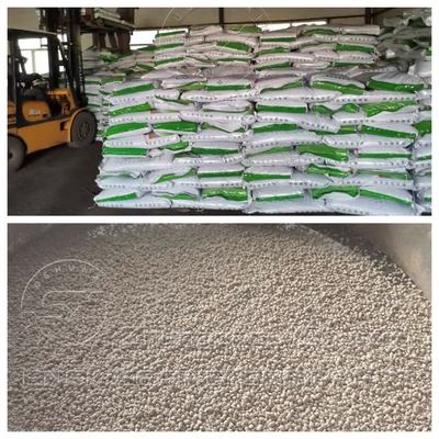 Produci senza sforzo i granuli di lettiera per gatti di bentonite con la nostra linea di produzione avanzata